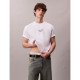 Calvin Klein Ανδρική κοντομάνικη μπλούζα Logo Graphic Relaxed T-Shirt